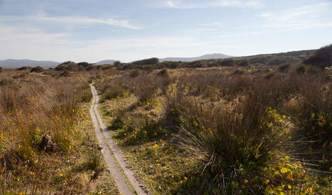Murramarang Aboriginal Area Walking Track - Tourism Caloundra 2