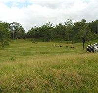 Numinbah Valley Adventure Trails - Tourism Caloundra