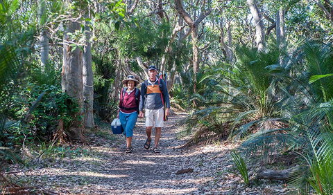 Myrtle Beach Walking Track - Tourism Caloundra 0