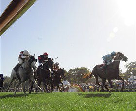 Moruya Racecourse - Tourism Caloundra 1