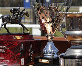 Moruya Racecourse - Tourism Caloundra 4