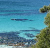 Jervis Bay Marine Park - Tourism Caloundra
