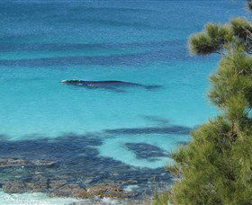 Jervis Bay Marine Park - Tourism Caloundra 0