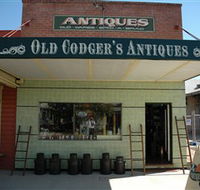 Old Codgers Antiques - Tourism Caloundra