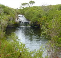 Booderee National Park Green Patch and Telegraph Creek Walking Tracks - Tourism Caloundra