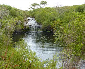 Booderee National Park: Green Patch And Telegraph Creek Walking Tracks - Tourism Caloundra 0
