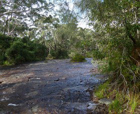 Booderee National Park: Green Patch And Telegraph Creek Walking Tracks - Tourism Caloundra 1
