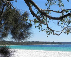 Booderee National Park: Green Patch And Telegraph Creek Walking Tracks - Tourism Caloundra 6