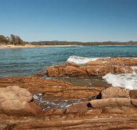 Shelly Beach Picnic Area - Moruya Heads - Tourism Caloundra