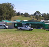 Tinonee Orchid Nursery - Tourism Caloundra