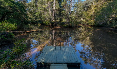 Brimbin Nature Reserve - Tourism Caloundra 0