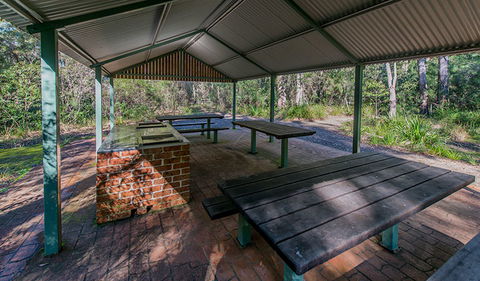 Brimbin Nature Reserve - Tourism Caloundra 1