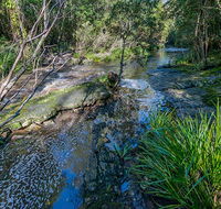 Dawson River walking track - Tourism Caloundra
