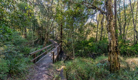 Dawson River Walking Track - Tourism Caloundra 1
