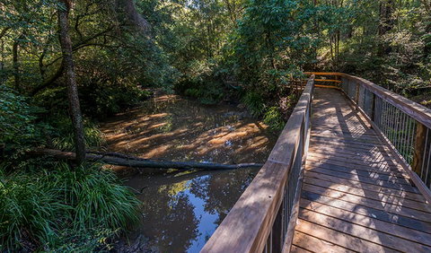 Ms Kellys Walking Track - Tourism Caloundra 0