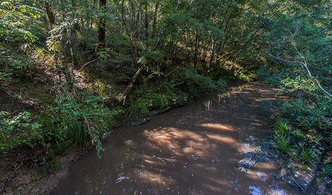 Ms Kellys Walking Track - Tourism Caloundra 2