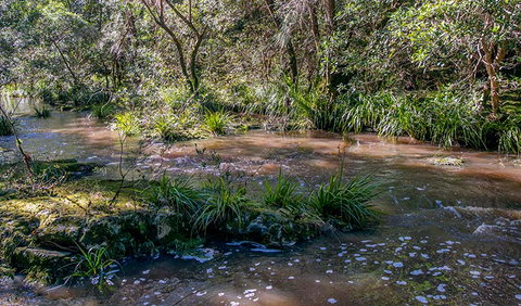 Ms Kellys Walking Track - Tourism Caloundra 3