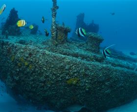 Curtain Artificial Reef Dive Site - Tourism Caloundra 1