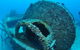 Curtain Artificial Reef Dive Site - thumb 3
