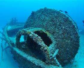 Curtain Artificial Reef Dive Site - Tourism Caloundra 3