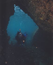 Tangalooma Wrecks Dive Site - Tourism Caloundra 1