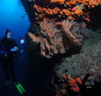 Gotham City Dive Site - Tourism Caloundra