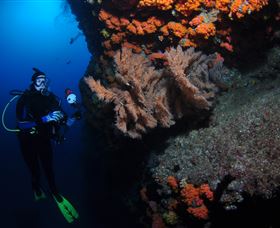 Gotham City Dive Site - Tourism Caloundra 0