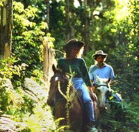 Clarendon Forest Retreat Horse Riding - Tourism Caloundra