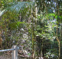 Goorgana walking track - Tourism Caloundra