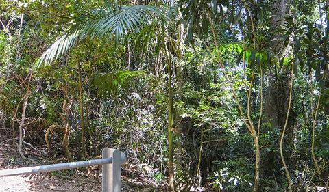 Goorgana Walking Track - Tourism Caloundra 0