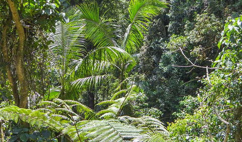 Goorgana Walking Track - Tourism Caloundra 1