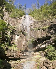 The Channon NSW Tourism Caloundra