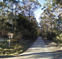 Box Cutting Rainforest Walk - Tourism Caloundra