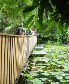 Larnook NSW Tourism Caloundra