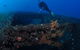 Cementco Dive Site - thumb 3
