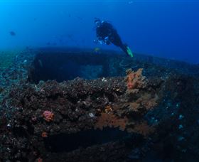 Cementco Dive Site - Tourism Caloundra 3