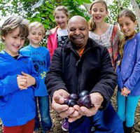 Wigay Aboriginal Culture Park - Tourism Caloundra