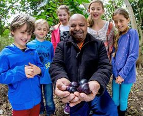 Wigay Aboriginal Culture Park - Tourism Caloundra 0