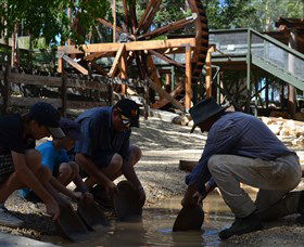 Cedar Creek Goldfield - Tourism Caloundra 2