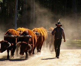 Timbertown Heritage Theme Park - Tourism Caloundra 1