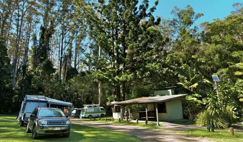 Whian Whian State Conservation Area - Tourism Caloundra 1