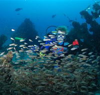 Aarhus Dive Site - Tourism Caloundra