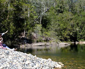 Mount Boss State Forest - Tourism Caloundra 0