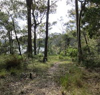 Ringlands Rotary Walk Narooma - Tourism Caloundra