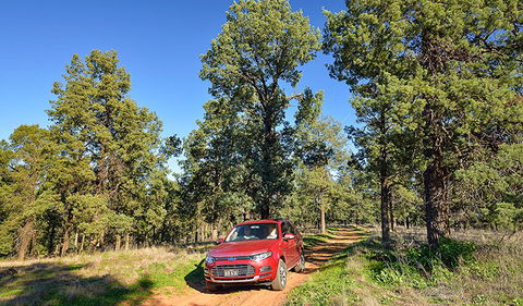 Wallingat Forest Drive - Tourism Caloundra 0