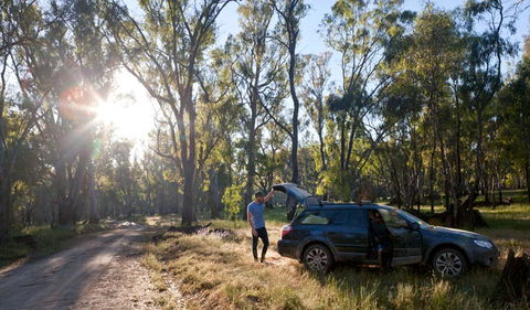 Wallingat Forest Drive - Tourism Caloundra 1