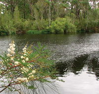Wallingat National Park - Tourism Caloundra