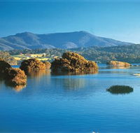 Wagonga Picnic Area - Tourism Caloundra