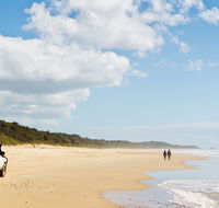 Bongil Bongil National Park - Tourism Caloundra