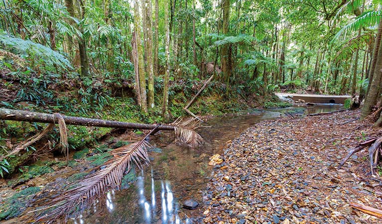 Karangi NSW Tourism Caloundra